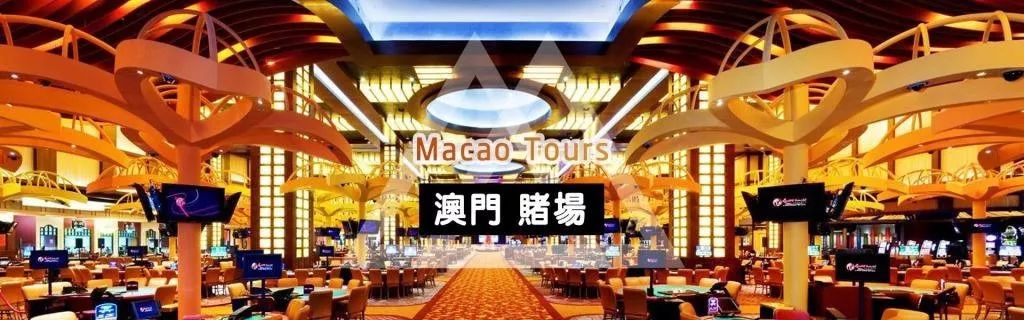 2021年今晚澳门码资料澳门，揭秘澳门彩票的奥秘与风险