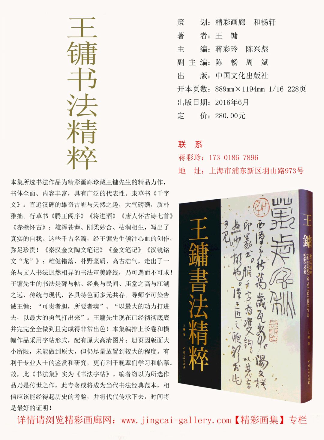 探索44462布衣图库总汇，传统与现代的完美融合