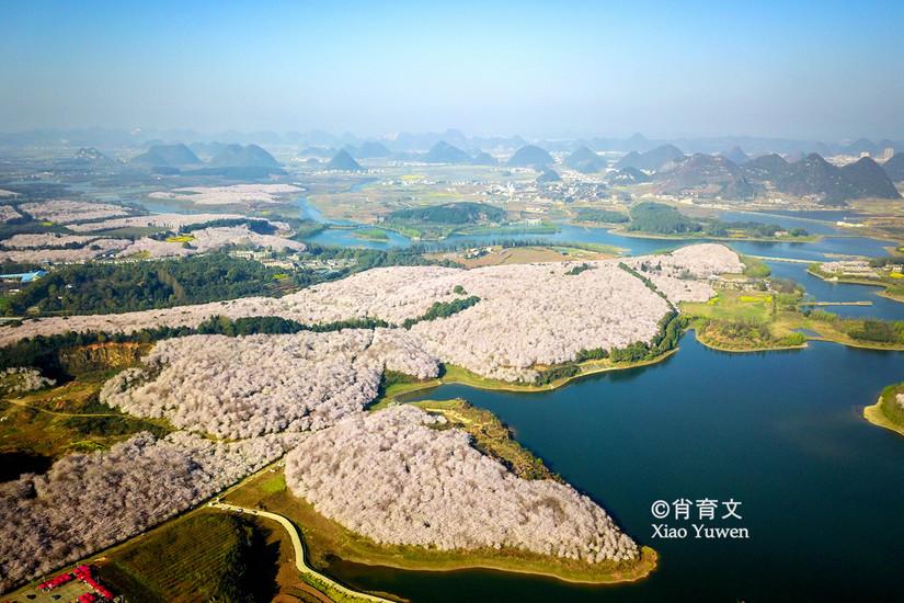2046年，管家婆的马资料—未来赛场的智慧之选管家婆24码期期准2017