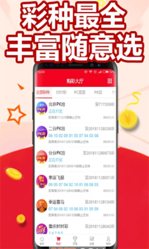 彩票历史开奖号码查询软件，数字背后的智慧与乐趣