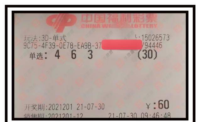 3D彩票，探索近500期基本走势图与连线的奥秘