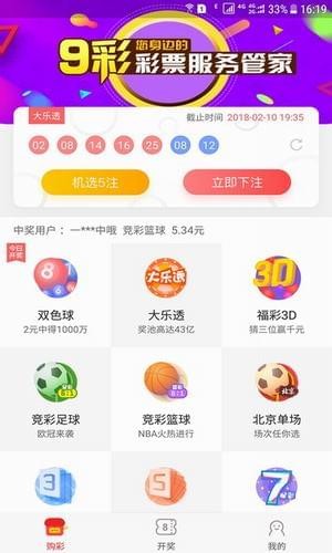 探索中国体彩彩票，便捷的查询方式与中奖号码的奥秘
