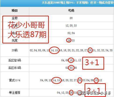 大乐透复式投注的智慧选择，3号位上的复式计算器应用解析