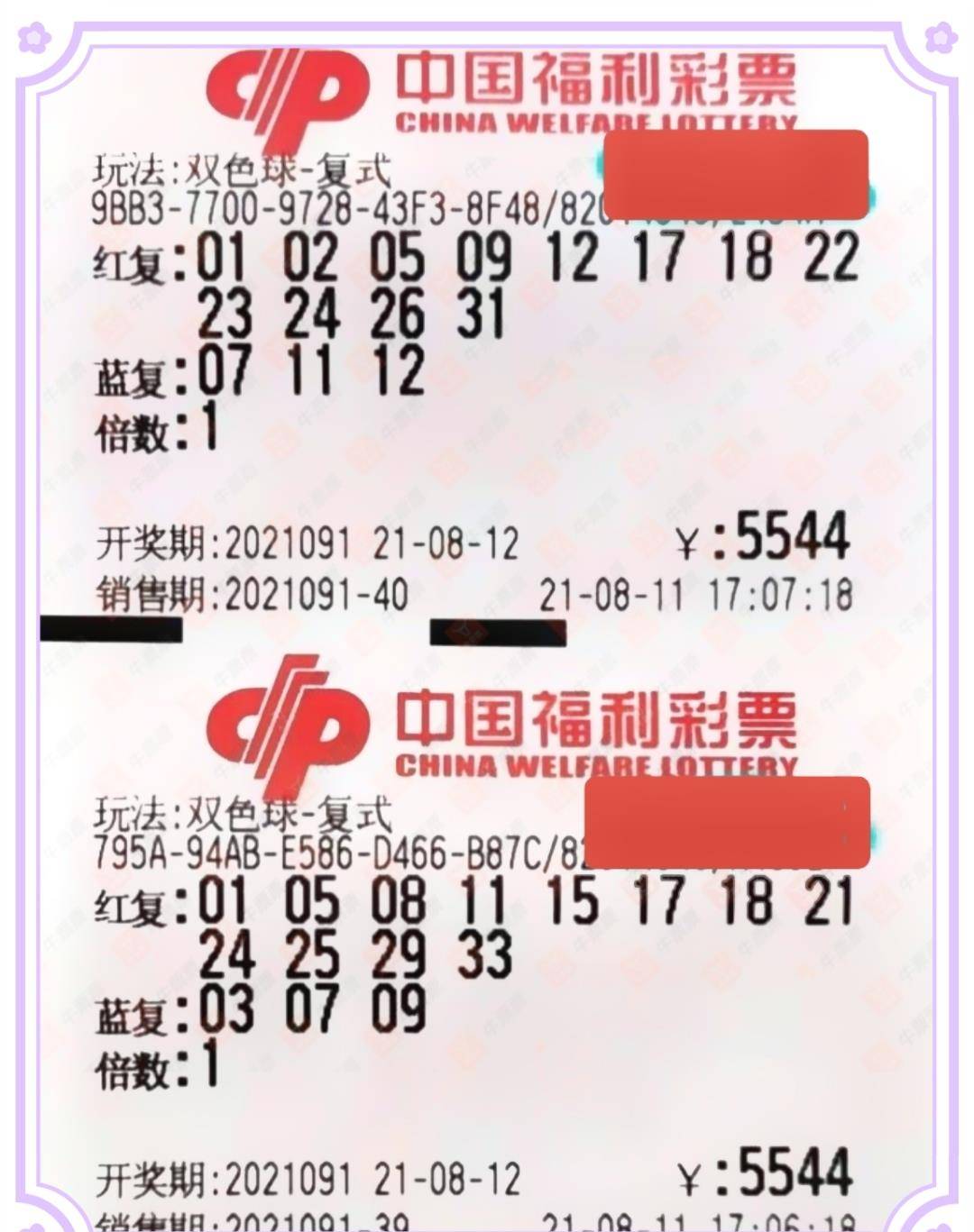 双色球今晚专家精准预测一注，科学理性与幸运的碰撞