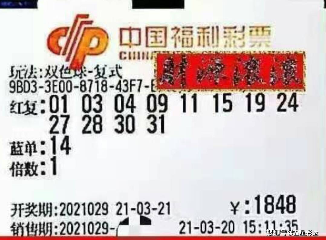 彩票2021065期双色球，梦想与机遇的碰撞