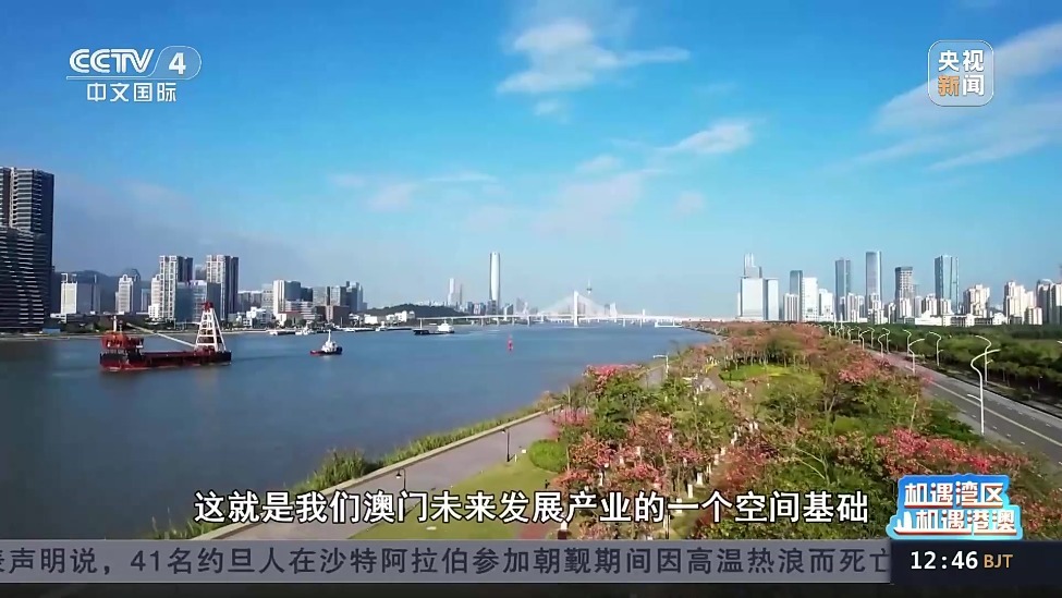 澳门资料凤凰大全，探索澳门的多元魅力与文化深度澳门资料大全正版资料查询20