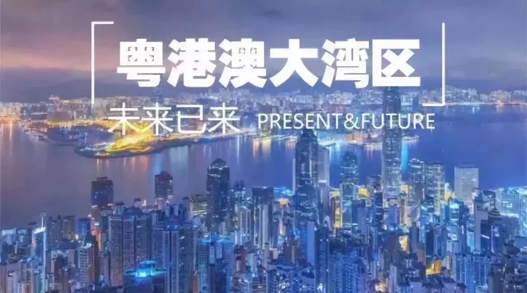 探寻新澳历史的璀璨瞬间，开奖记录的深度解析新澳历史开奖记录查询结果今天直播