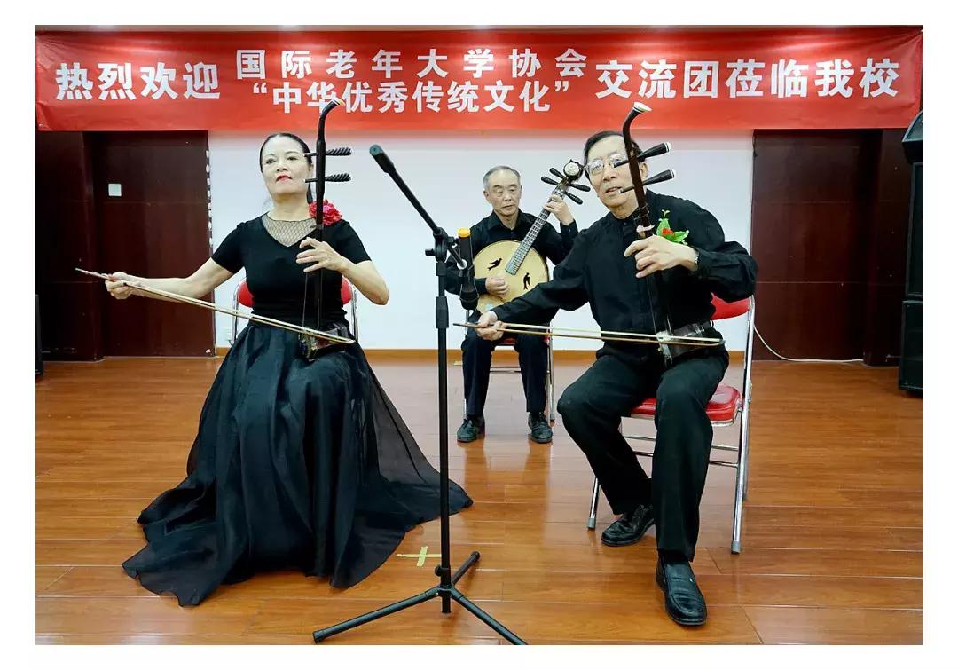 蓝月亮马会精选资料大全，解锁赛马的智慧与魅力蓝月亮马会精选资料大全 m.ubkgqm.icu