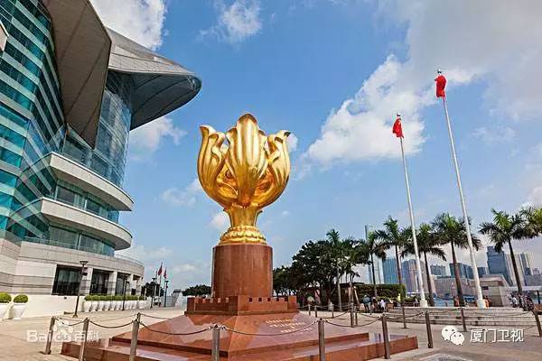 揭秘香港晚六开彩，一场数字与梦想的较量香港晚六开彩开奖结果52期开奖号码查询