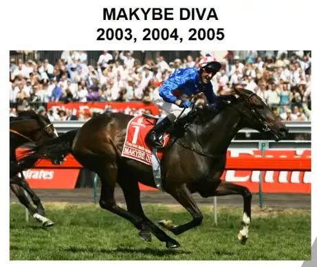 2019年香港马会资料大全，全面解析与深度分析香港2021年马会资料大全
