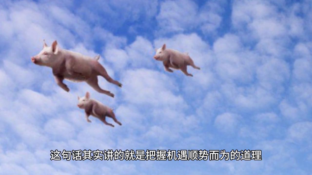 2043年，回顾与展望—香港六开奖的数字轨迹2024香港港六开奖记录5月29日开奖结果