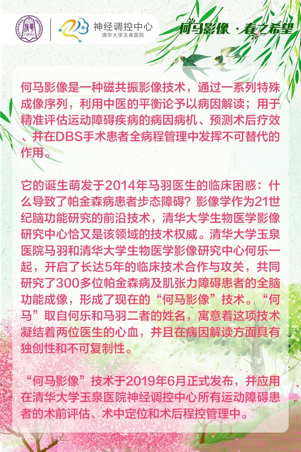 今日特马揭晓，探寻幸运的奥秘与期待今天出的特马是几号