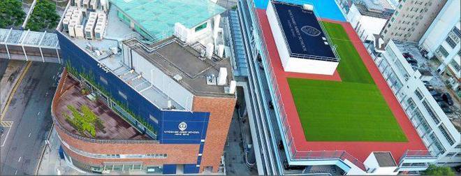 2019年香港正版资料全集，揭秘背后的真相与影响2021香港正版资料全集2021年最新版下载