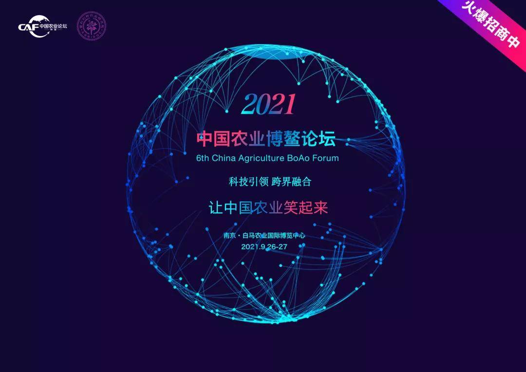 探索未来，比思论坛特区的创新与机遇比思论坛特区导航