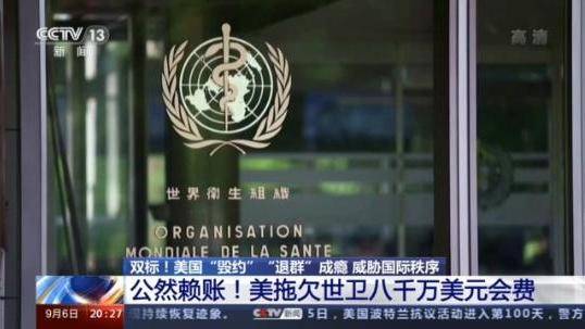 探索49万种可能，揭秘免费大全的奇妙世界494949免费大全资科