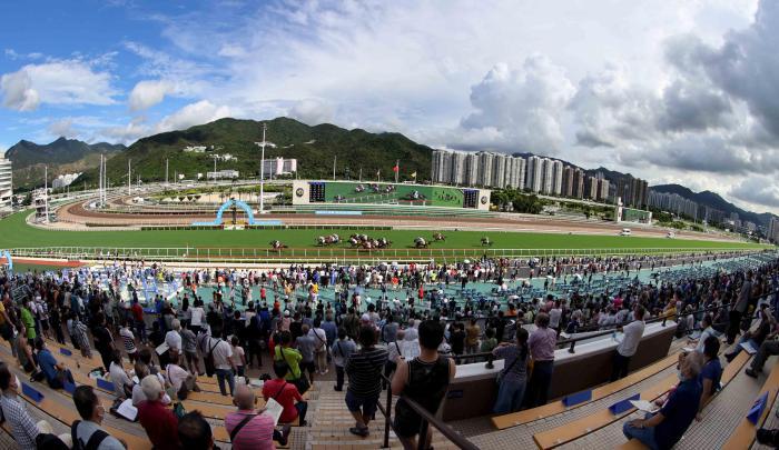 香港马资料大百科，全面解析赛马的魅力与策略香港马资料大资料大全2021年