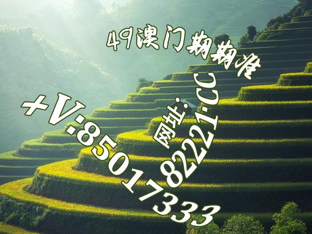 探索数字世界的色彩盛宴，红姐统一图库的免费彩绘之旅红姐统一图库118彩图下载
