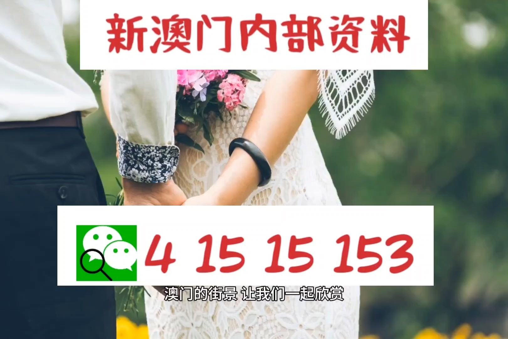 新澳天天开奖