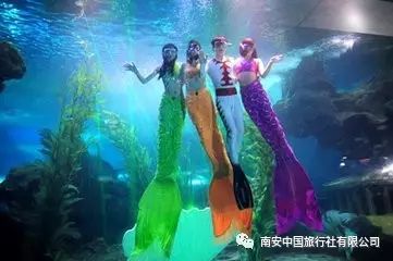 新澳门开奖