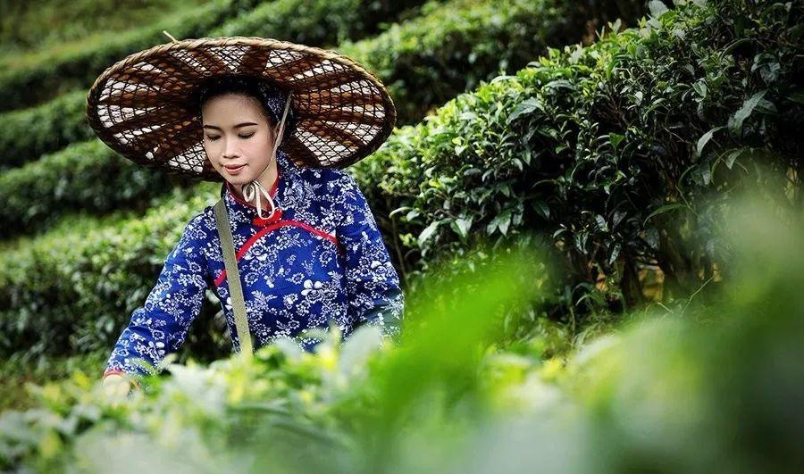 天下彩天空彩票免费资料大会，理性与娱乐的边界探索免费天下彩天空彩票正版资料大全