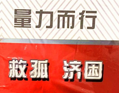 澳门一肖不中，理性投注才是赢家澳门一肖一码必中一码347期