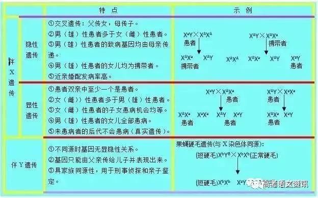 揭秘四肖选一中的中特策略—深度解析与实战指南四肖选一肖一特