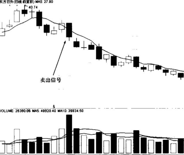澳门三肖二码精准10%预测，理性与智慧的结合澳门码王三肖六码