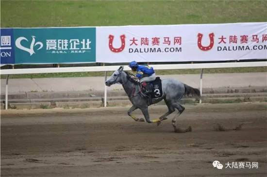 探索正版马会精选资料大全，解锁赛马的智慧与乐趣正版马会精选资料大全下载2070