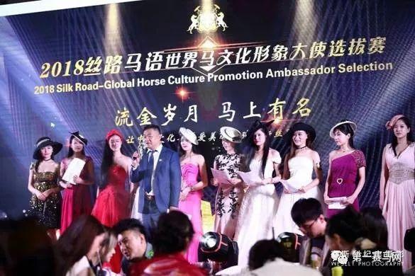 2019年香港马会内部免费资料揭秘，一场关于智慧与策略的盛宴香港马资料大全2019