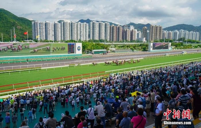 探索香港马会全年资料大全，历史、成就与未来展望香港2021年马会资料大全