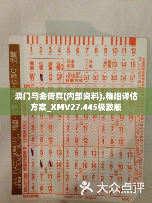 守护知识之光，正版马会传真资料的必要性正版马会传真资料+内部
