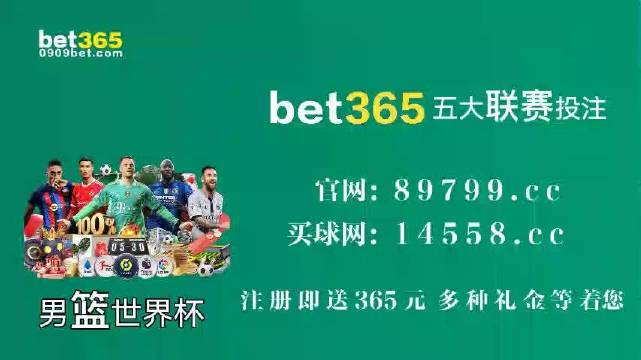 探索49码资料图库，解锁数字时代的视觉宝藏2025年港彩全年图库