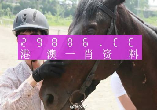 今晚澳门一肖必中，揭秘概率与迷信的边界今晚澳门一肖一码必中肖防城港