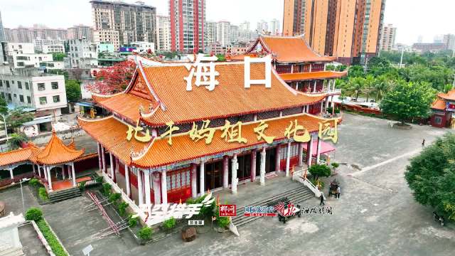 探索香港特码，文化、历史与现代生活的独特魅力香港特马开码开奖结果历史记录