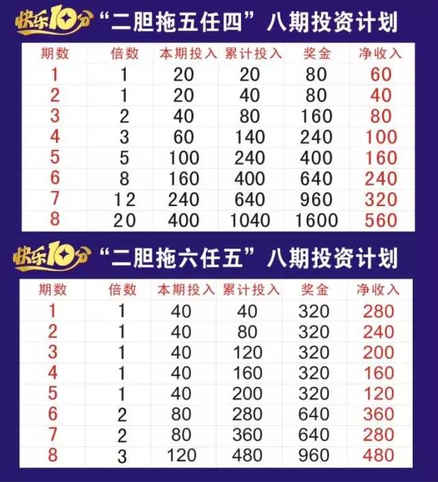 探索二肖3码的奥秘，一种独特的数字游戏与文化现象必中2肖二码