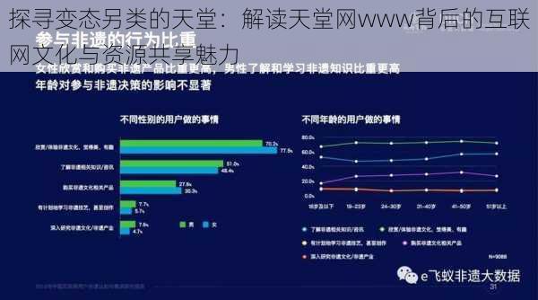 探索网络乌托邦，天堂鸟论坛的虚拟社交与知识共享天堂鸟论坛怎么打不开