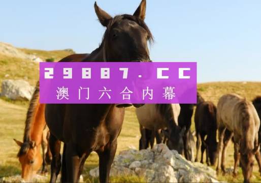 澳门管家婆一肖二码精准预测，揭秘背后的真相与风险澳门管家婆100中