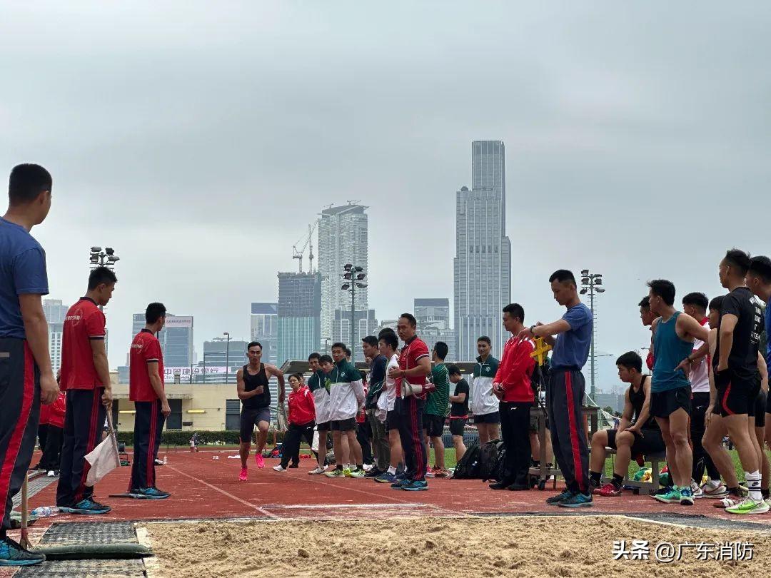 2018年香港马全年资料回顾，赛场风云与文化盛宴2019年香港马最准的资料