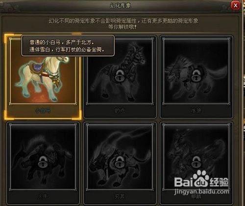 龙将辅助器