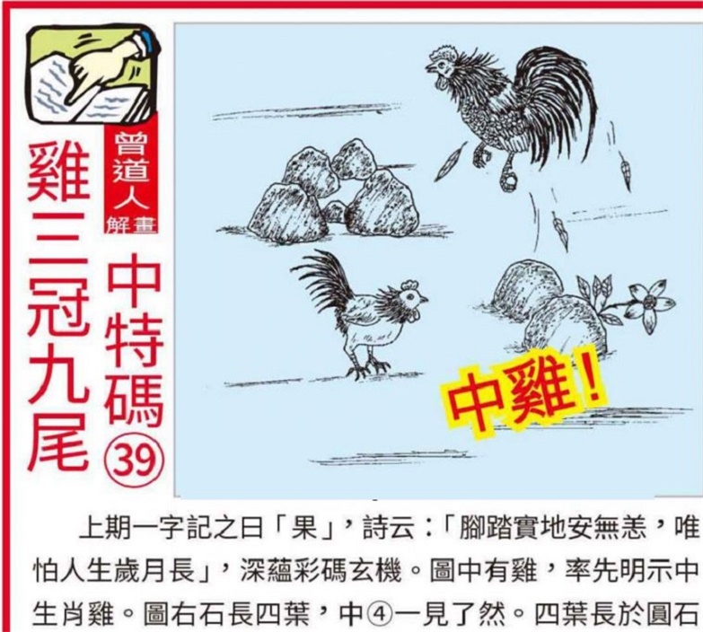 2019年马会全年资料回顾与展望二o一九年马会全年资料大全