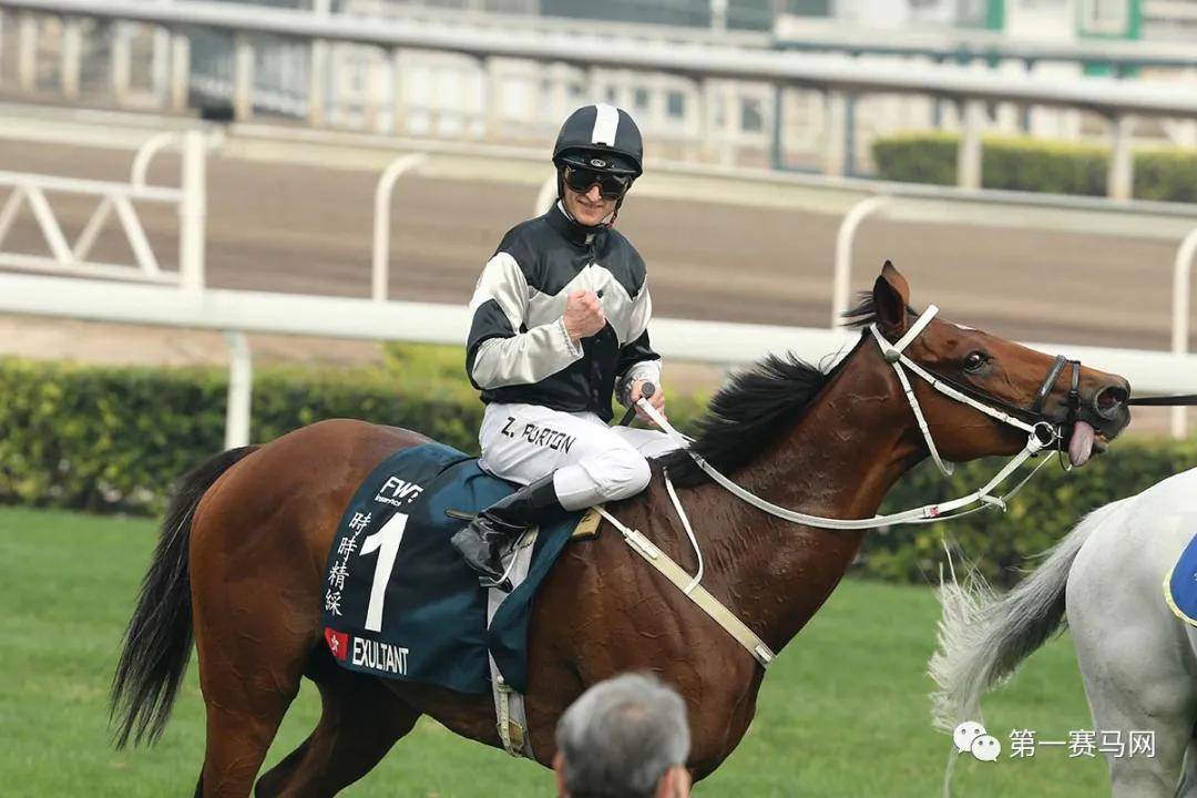 2019年香港马会资料大全，全面解析与深度分析香港2021年马会资料大全