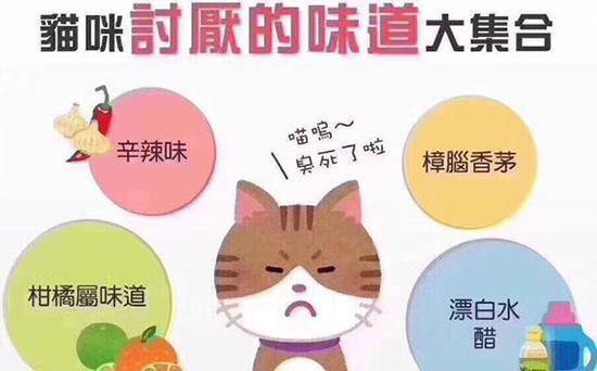 澳门免费开奖结果资料大全，揭秘澳彩背后的秘密与技巧澳门免费开奖结果资料大全 爱伴功搜索