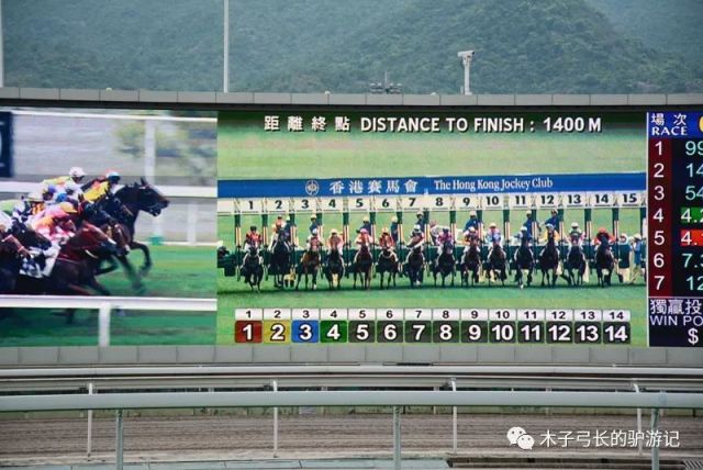 2018香港马会资料大全，全面解析与深度分析香港2021年马会资料大全