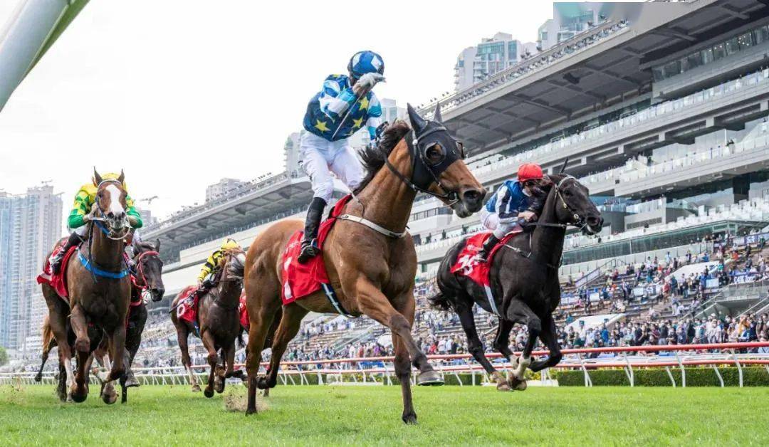 2019年马会正版香港资料大全，揭秘赛马的魅力与策略2021年正版马会香港资料大全一