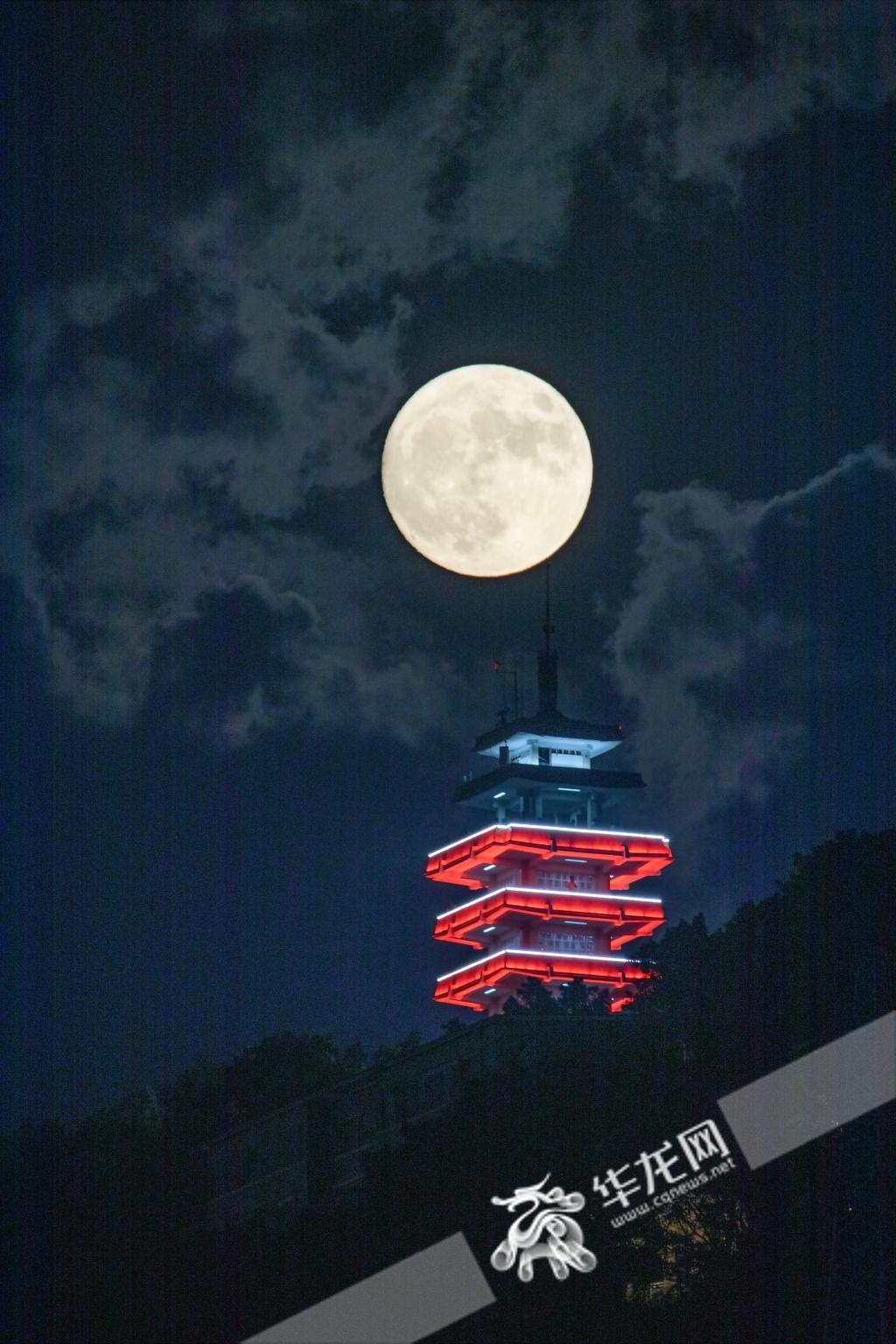 蓝月亮精选料免费大全930，解锁家居清洁新境界蓝月亮精选料免费大全-首页选料免费大全-首页