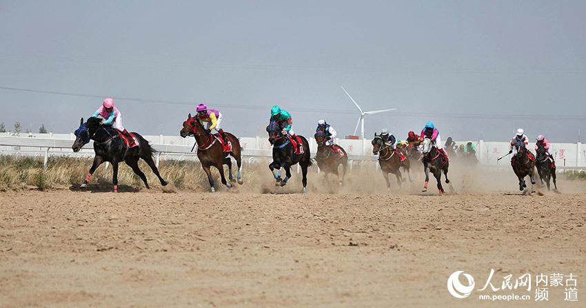 探索香港马会2019年正版资料大全，赛马的智慧与乐趣香港正版马会免费资料大全