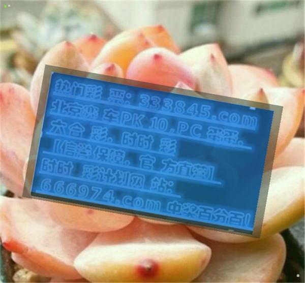 2014年管家婆一码与生肖资料，揭秘传统文化的现代应用