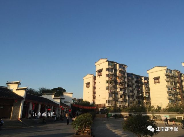泰和在线论坛，数字时代的社区新风貌泰和在线论坛手机版