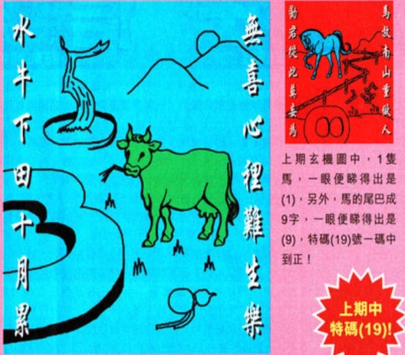 马会资料大全免费资料图库