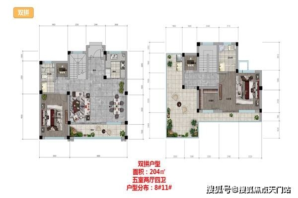 2049，新澳门精准资料免费共享的未来展望澳门2o20年另版资料
